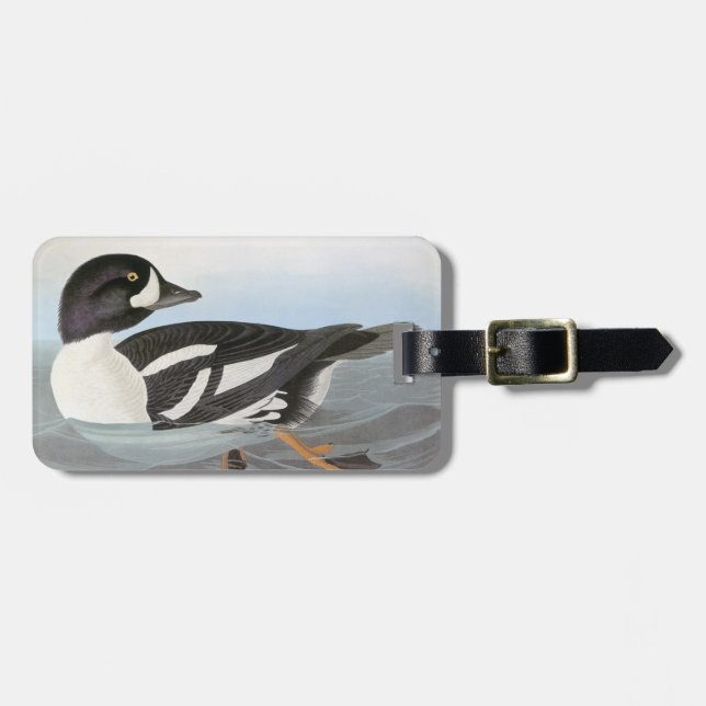 Étiquette À Bagage Audubon : Le Goldeneye de la brouette (Devant horizontal)