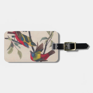 Étiquette À Bagage Audubon Peint Bunting Bird Wildlife