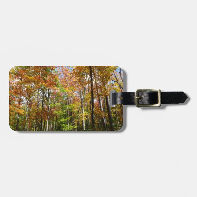 Étiquette À Bagage Automne Forêt II Automne Paysage Photographie (Devant horizontal)