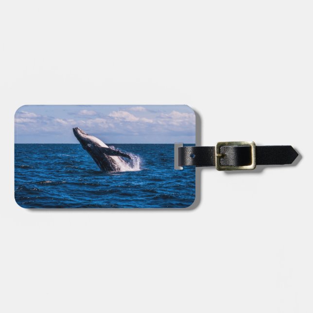 Étiquette À Bagage Baleine de bosse ouvrant une brèche l'étiquette de (Devant horizontal)
