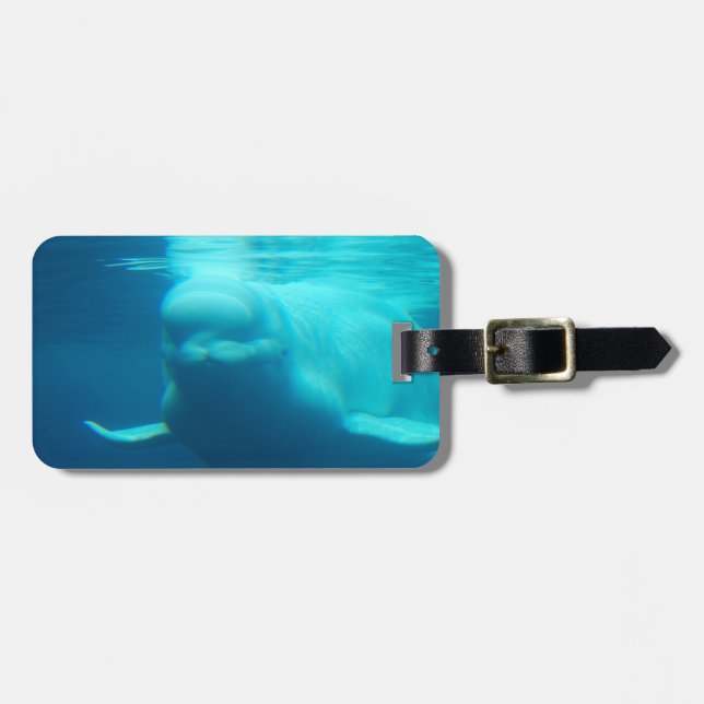 Étiquette À Bagage Baleine sous-marine de beluga (Devant horizontal)