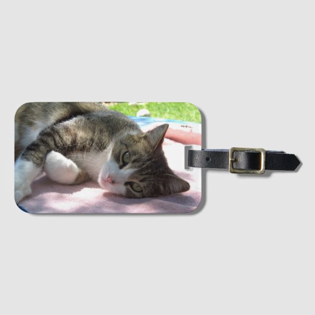 Étiquette À Bagage Balise Big Boy Cat sur les bagages de table (Devant Horizontal)