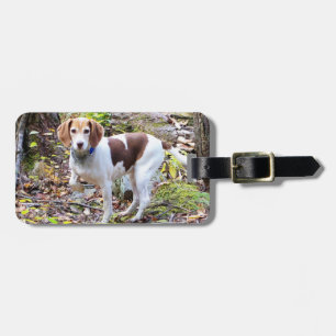 Étiquette À Bagage Balise de bagage beagle
