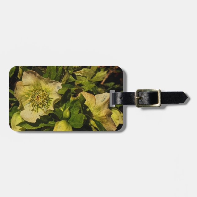 Étiquette À Bagage Balise de bagage du Rose Lenten Hellebore (Devant horizontal)