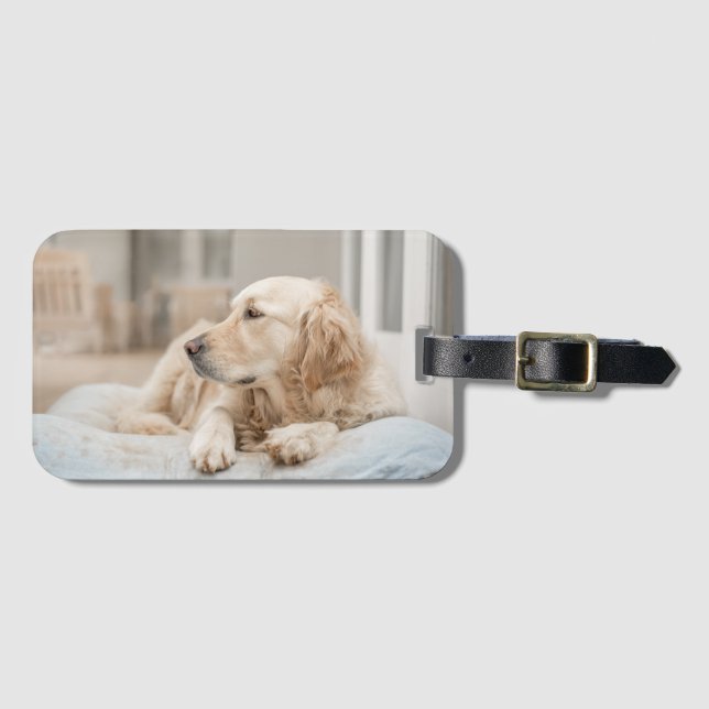 Étiquette À Bagage Balise de bagage Golden Retriever (Devant Horizontal)