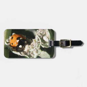 Étiquette À Bagage Balise de bagage personnalisée 7 points Ladybug br