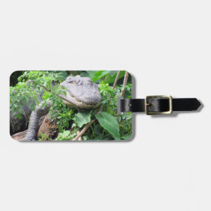 Étiquette À Bagage Balise de bagage personnalisée - Comfy Gator