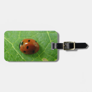 Étiquette À Bagage Balise de bagage personnalisée de Ladybug