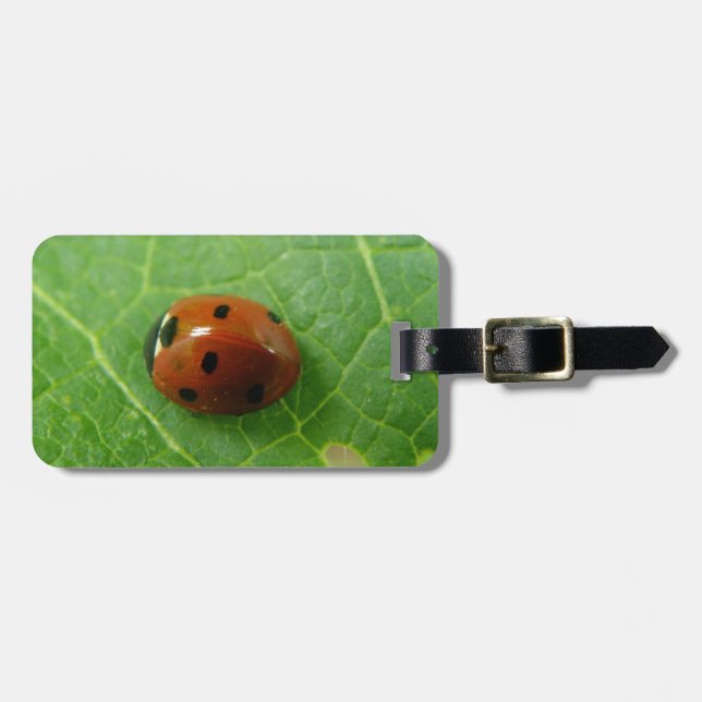 Étiquette À Bagage Balise de bagage personnalisée de Ladybug (Devant horizontal)