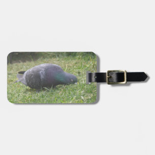 Étiquette À Bagage Balise de bagage personnalisée Pigeon dormant