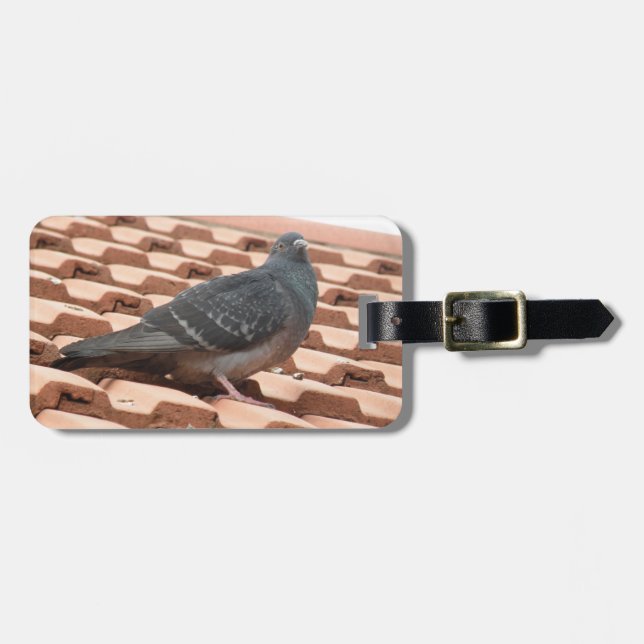 Étiquette À Bagage Balise de bagage personnalisée Pigeon sur le toit (Devant horizontal)