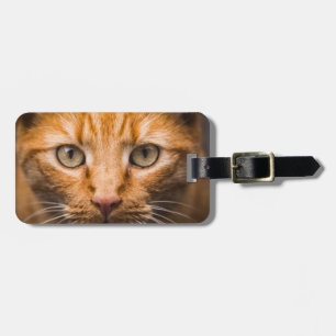 Étiquette À Bagage Balise de bagage personnalisée Staring Cat