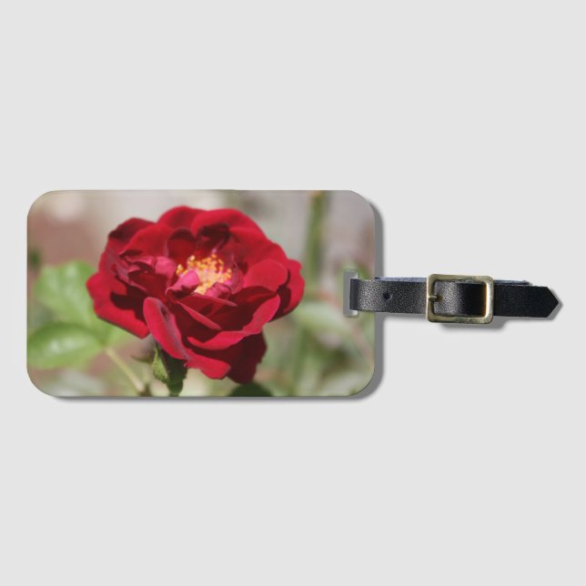 Étiquette À Bagage Balise de bagages rouge antique (Devant Horizontal)