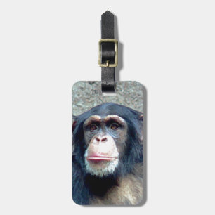 Étiquette À Bagage Balises des bagages Chimpanzé