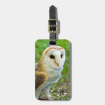 Barn Owl Luggage tag