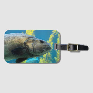 Étiquette À Bagage Bass marin géant