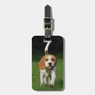 Étiquette À Bagage Beagle Insérez votre propre photo
