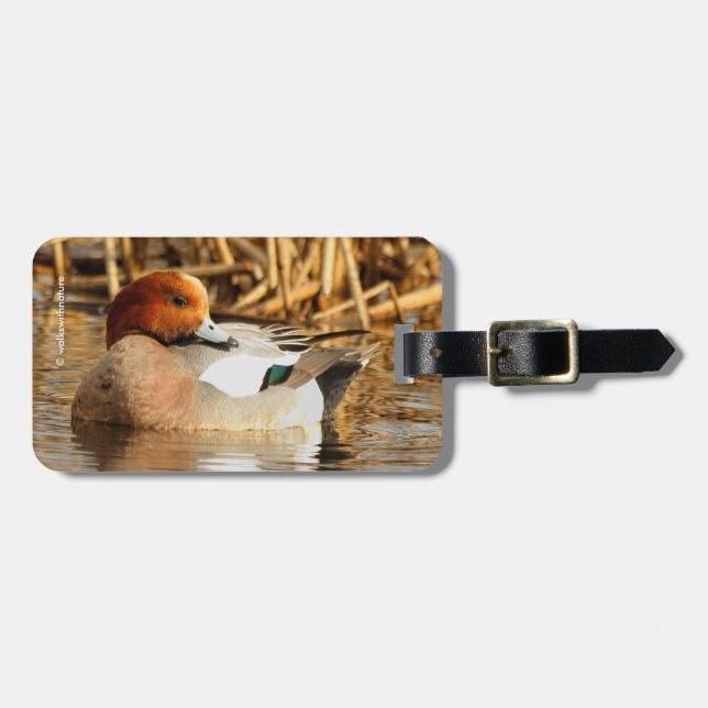 Étiquette À Bagage Beau étranger en ville Eurasian Wigeon (Devant horizontal)