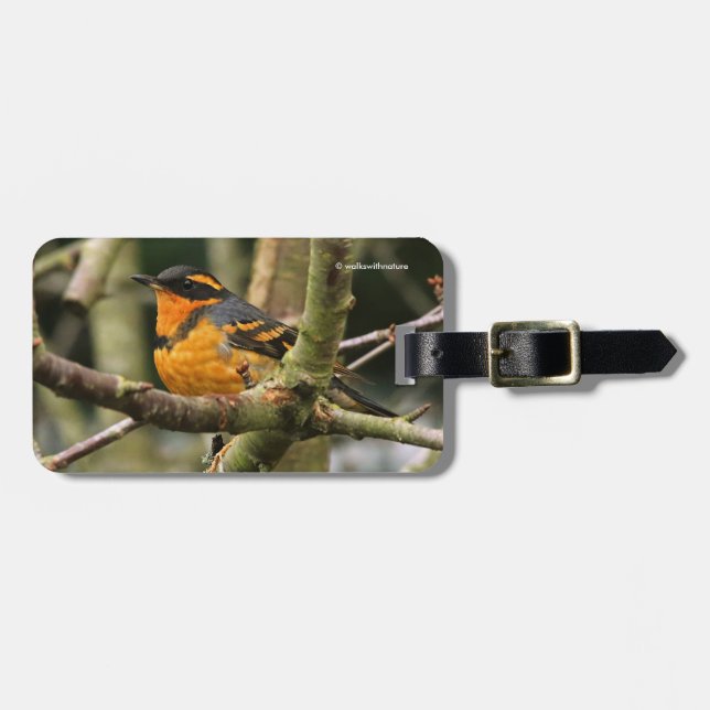 Étiquette À Bagage Beau oiseau-chanteur à gorge variée dans l'arbre (Devant horizontal)