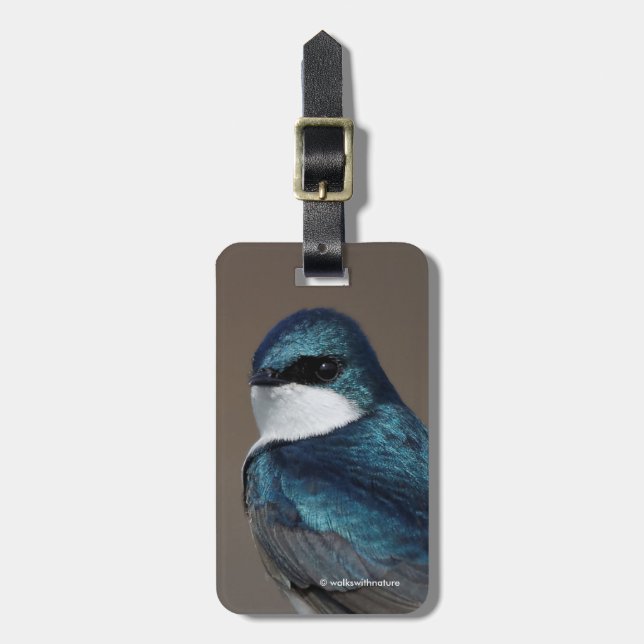 Étiquette À Bagage Beau oiseau chevalier en hirondelle d'arbre sur fi (Devant Vertical)