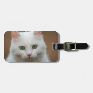 Étiquette À Bagage Beau portrait blanc aux yeux verts de chat