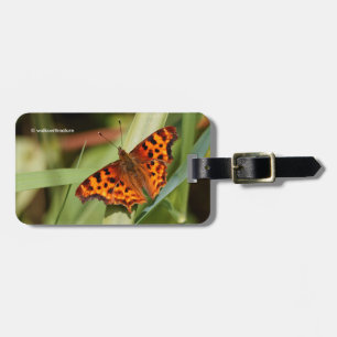 Étiquette À Bagage Beautiful Orange Satyr Comma Butterfly