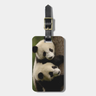 Étiquette À Bagage Bébés pandas géants (Ailuropoda melanoleuca) 2