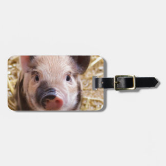 Étiquette À Bagage Belle photo d'un bébé porc