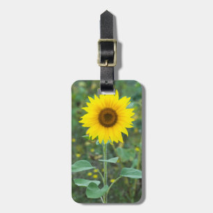 Étiquette À Bagage Blossom Sunflower Photographie Fleur sauvage