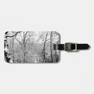 Étiquette À Bagage Bois d'hiver froid