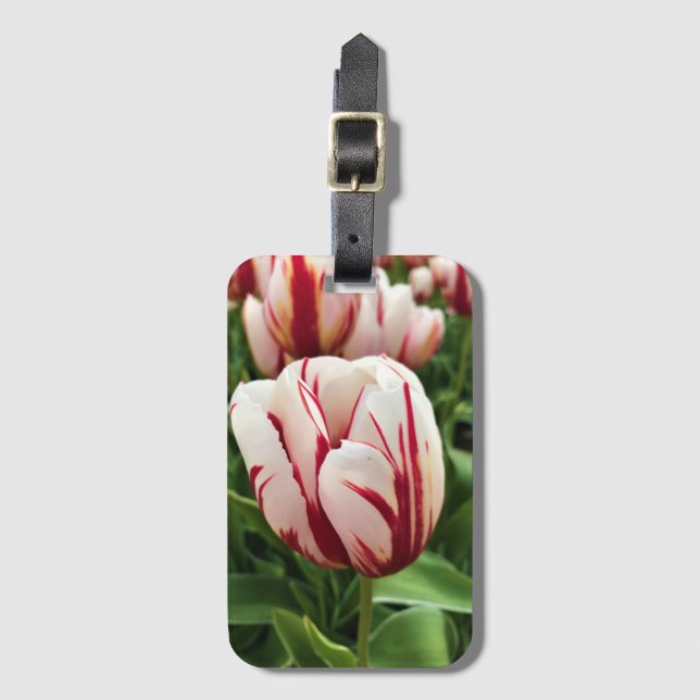 Étiquette À Bagage Bonne Génération Tulip, Oregon (Devant Vertical)