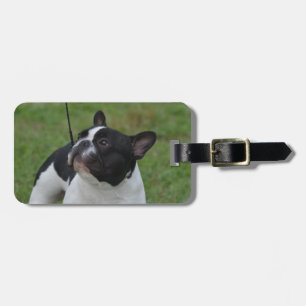 Étiquette À Bagage Bouledogue français noir et blanc