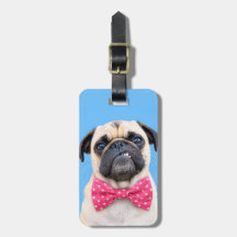 Bouledogue portant un nœud rose