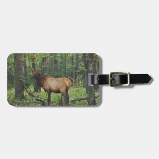 Étiquette À Bagage Bull Male Elk à autumn field