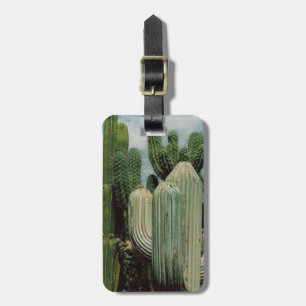 Étiquette À Bagage Cactus de l'Arizona