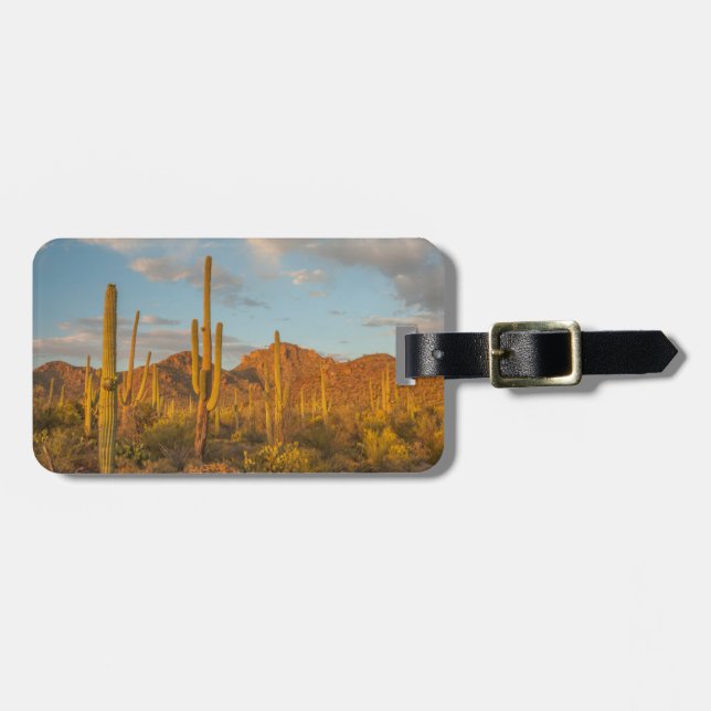 Étiquette À Bagage Cactus du Saguaro au coucher du soleil, Arizona (Devant horizontal)