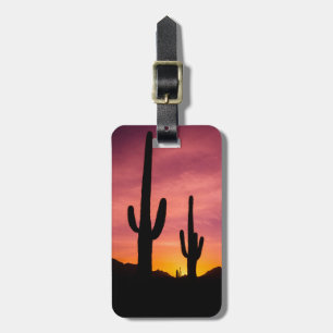 Étiquette À Bagage Cactus saguaro au lever du soleil, Arizona
