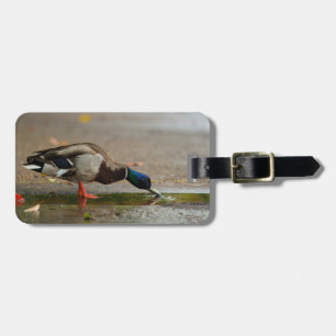 Étiquette À Bagage Canard d'automne Boire de l'eau de pluie