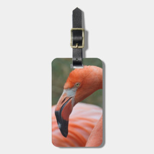 Étiquette À Bagage Caoutchouc de phoenicopterus