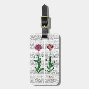 Étiquette À Bagage Carnation italienne 3