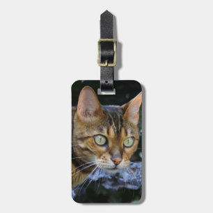 Étiquette À Bagage Cat du Bengale