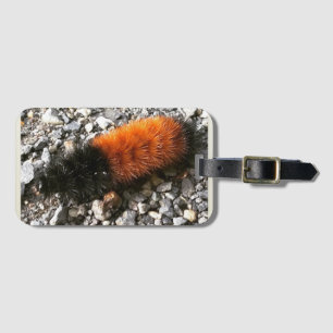Étiquette À Bagage Caterpillar d'ours laineux