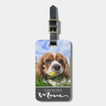 Cavalier King Charles Spaniel Maman Photo de Chien