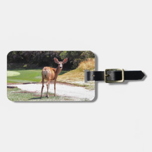 Étiquette À Bagage cerf regardant l'appareil photo nature