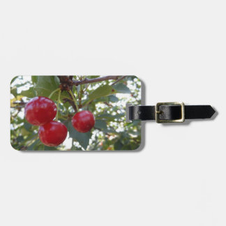 Étiquette À Bagage Cerises du Michigan