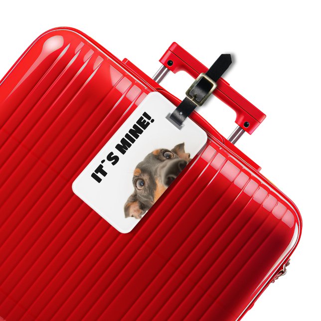 Étiquette À Bagage C'est à moi ! Photo de fouille de chien (Créateur téléchargé)