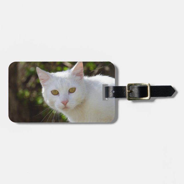 Étiquette À Bagage Chat blanc aux yeux jaunes (Devant horizontal)