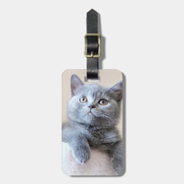 Étiquette À Bagage Chat britannique gris de Shorthair (Devant Vertical)
