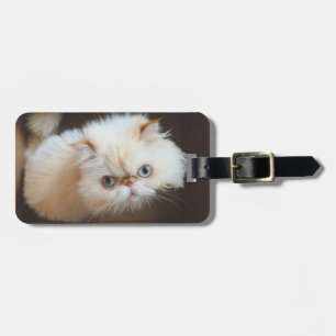 Étiquette À Bagage Chat dans une boîte
