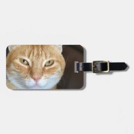 Étiquette À Bagage Chat tigré orange